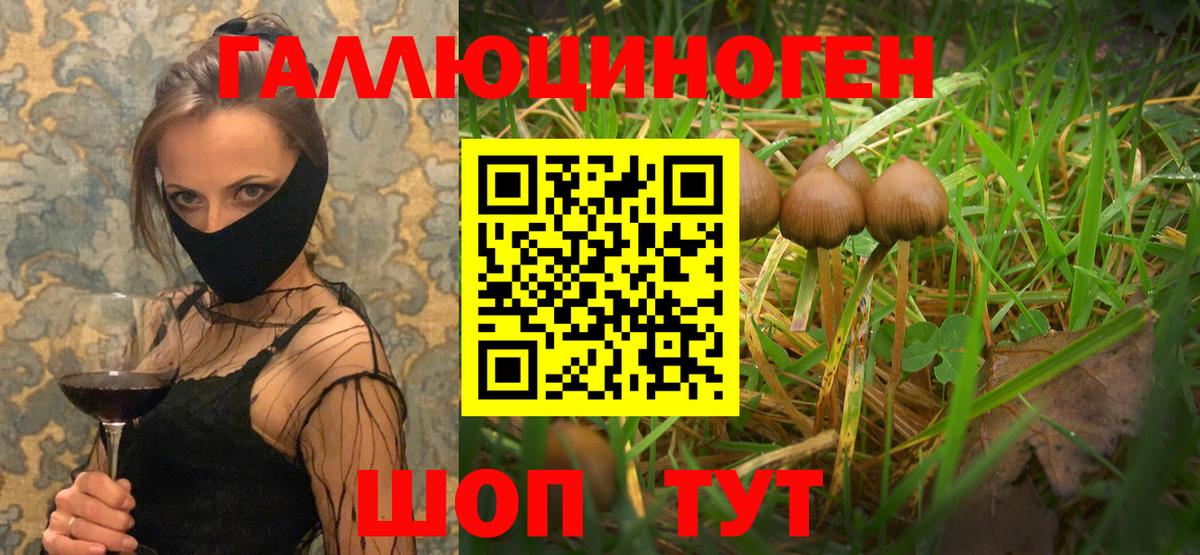 наркошоп  Псилоцибиновые грибы Psilocybine cubensis  Вход с VPN  Старая Купавна 